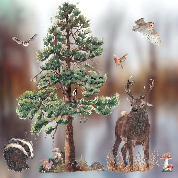 Fensterbild Wald-Set