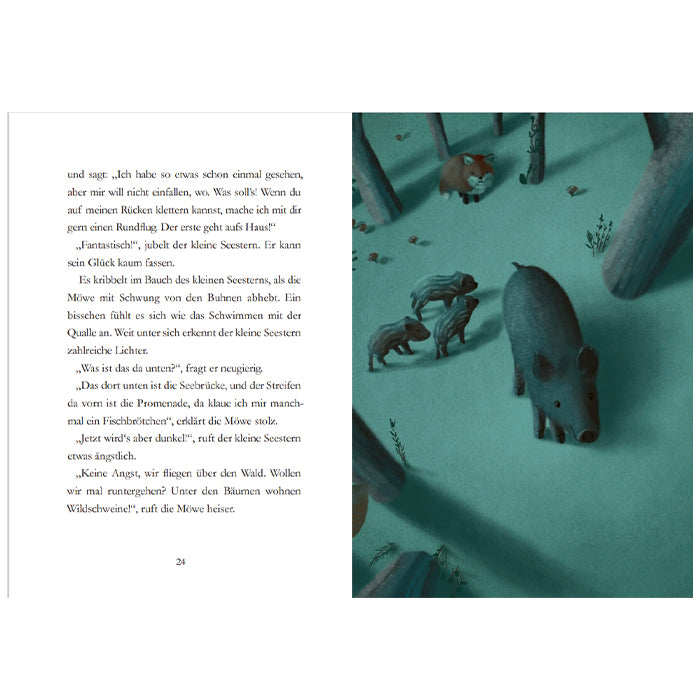 Der kleine Seestern: Eine große Reise