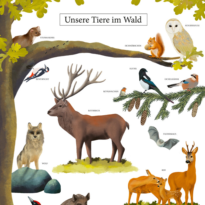 Poster Waldtiere