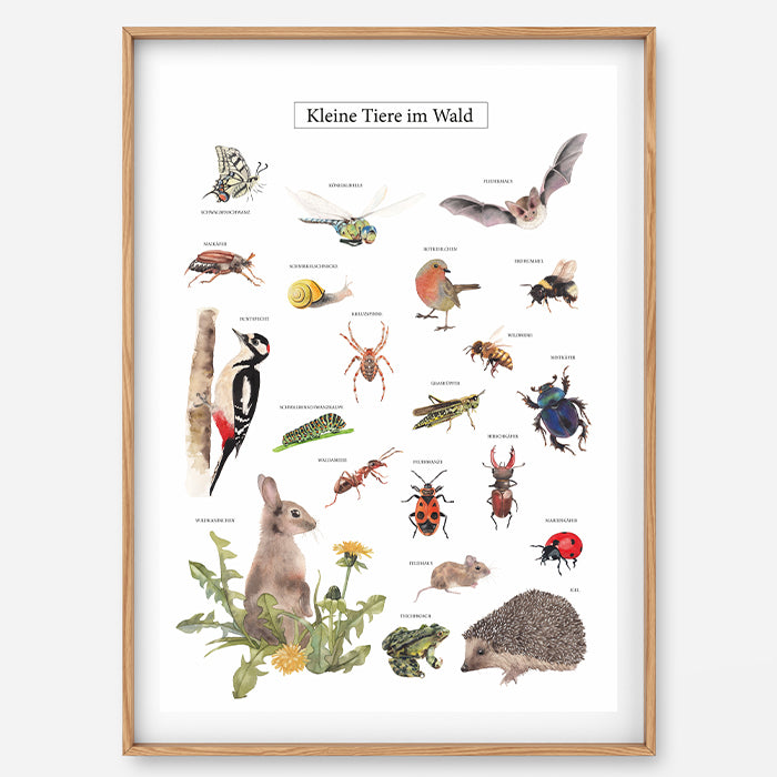 Poster Kleine Tiere im Wald