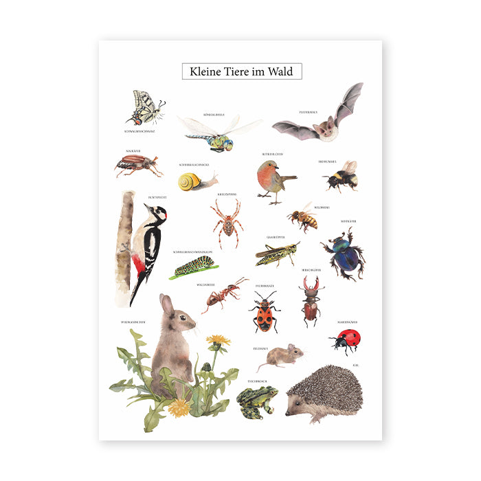 Poster Kleine Tiere im Wald