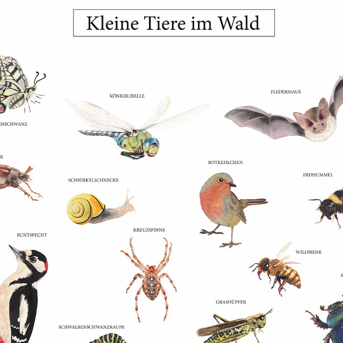 Poster Kleine Tiere im Wald