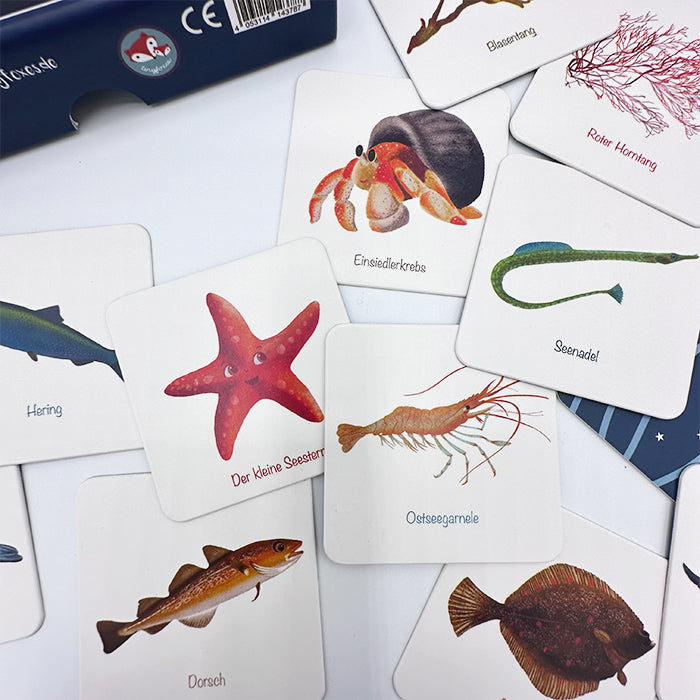 Memo-Spiel "Der kleine Seestern und seine Freunde"