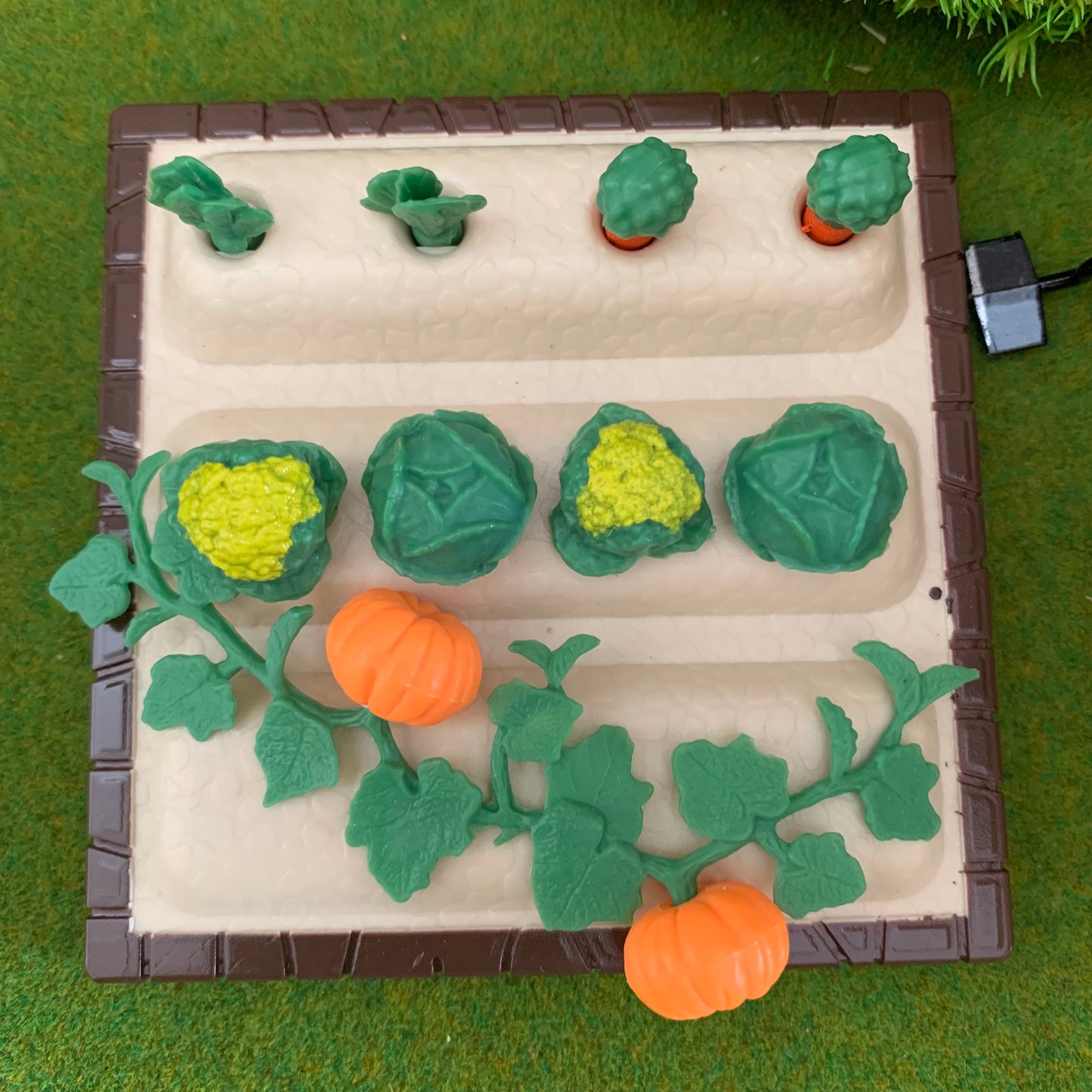 Miniatur Gemüsebeet