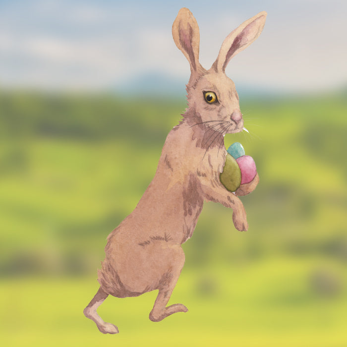 Fensterbild Hase Friedrich