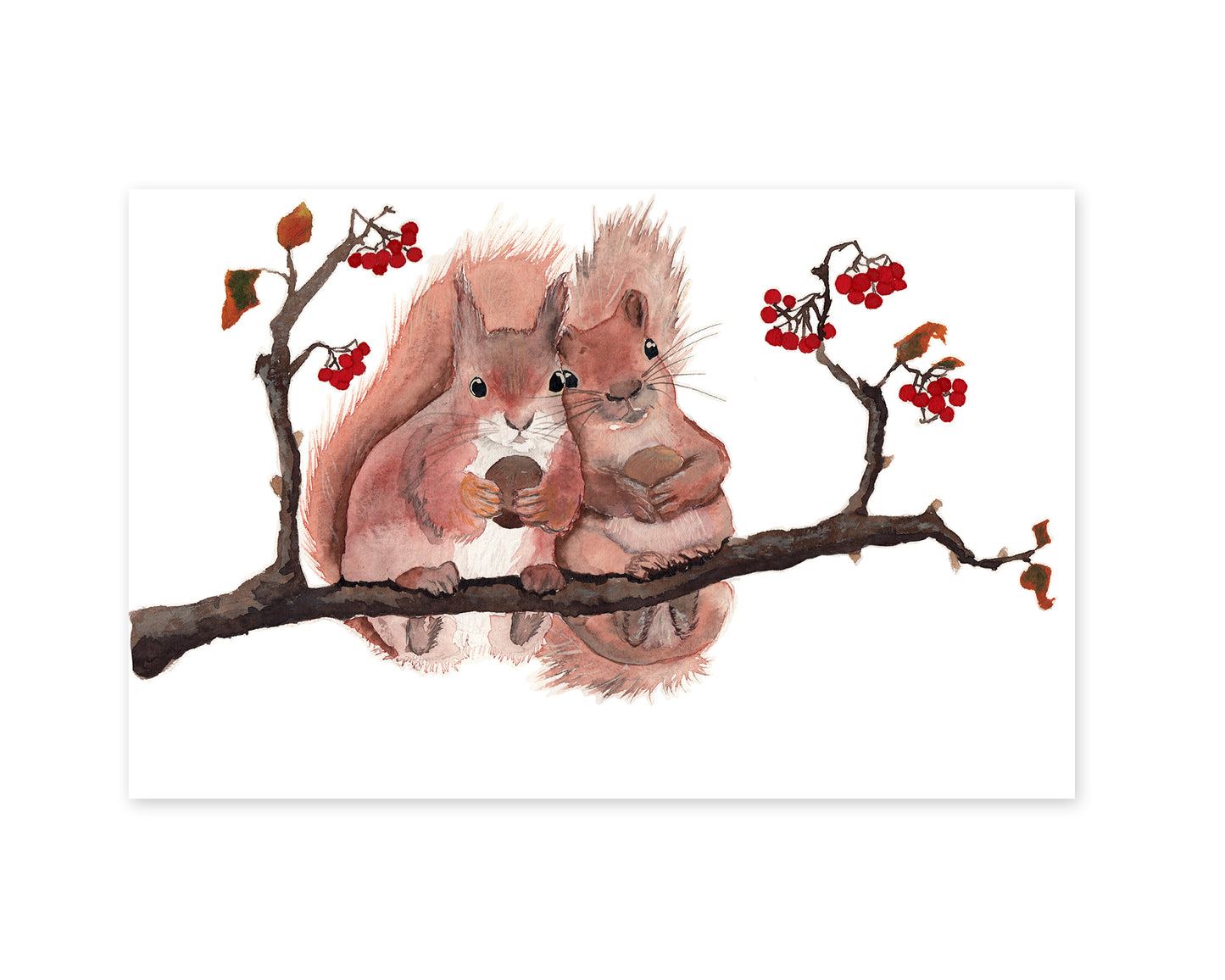 Kunstdruck Eichhörnchen