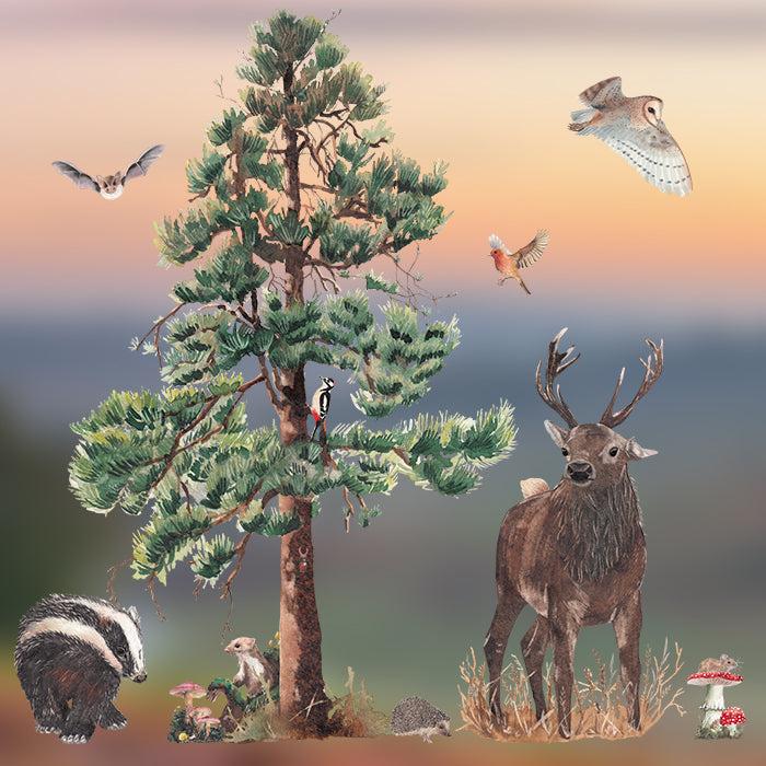 Fensterbild Wald-Set