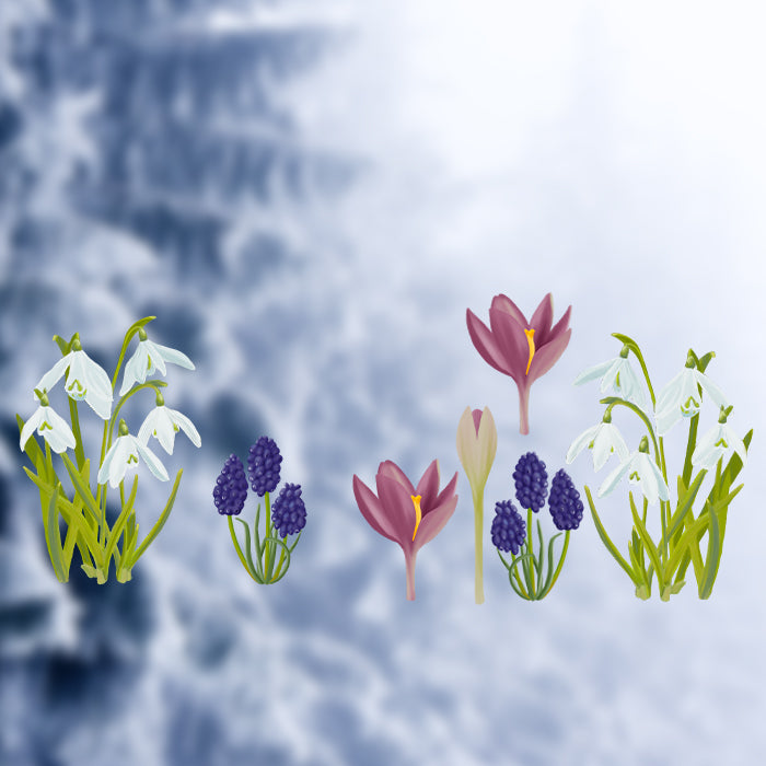 Fensterbild Frühblüher