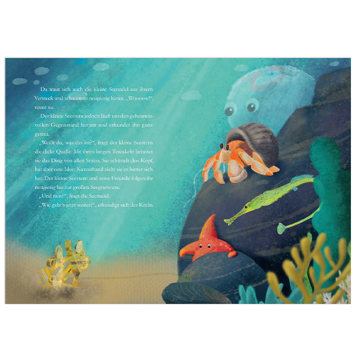Der kleine Seestern: Eine große Reise