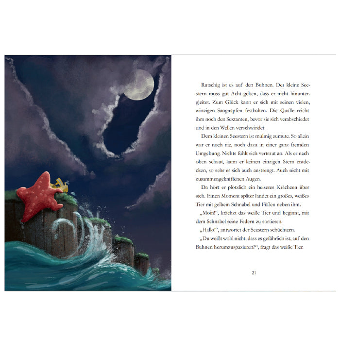 Der kleine Seestern: Eine große Reise