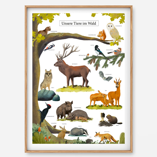 Poster Waldtiere