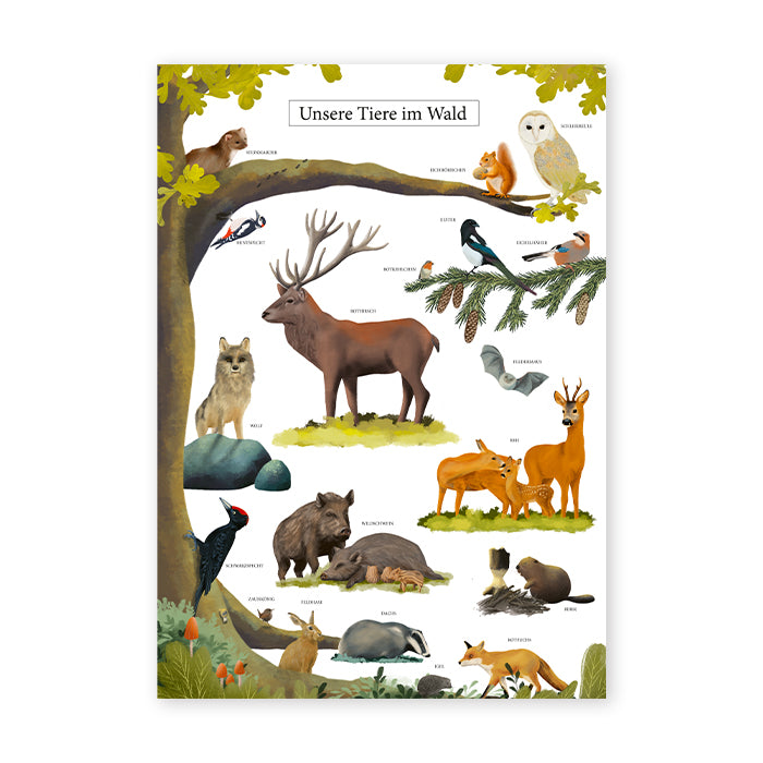 Poster Waldtiere