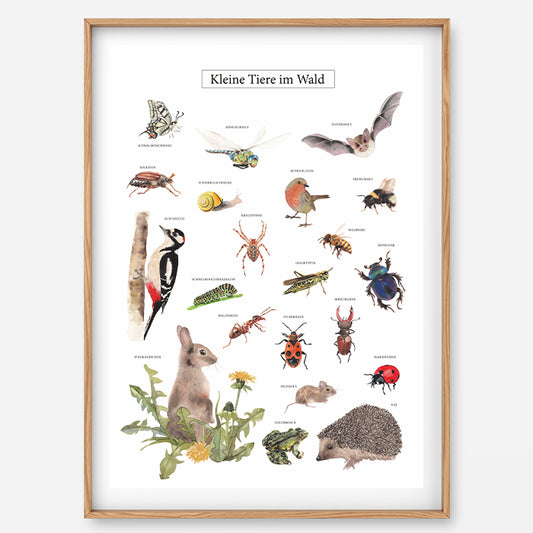 Poster Kleine Tiere im Wald
