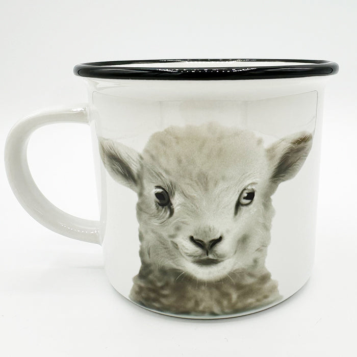 Tasse Schaf