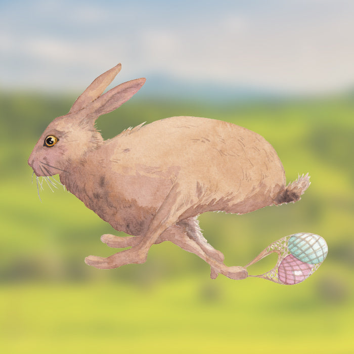 Fensterbild Hase Franz