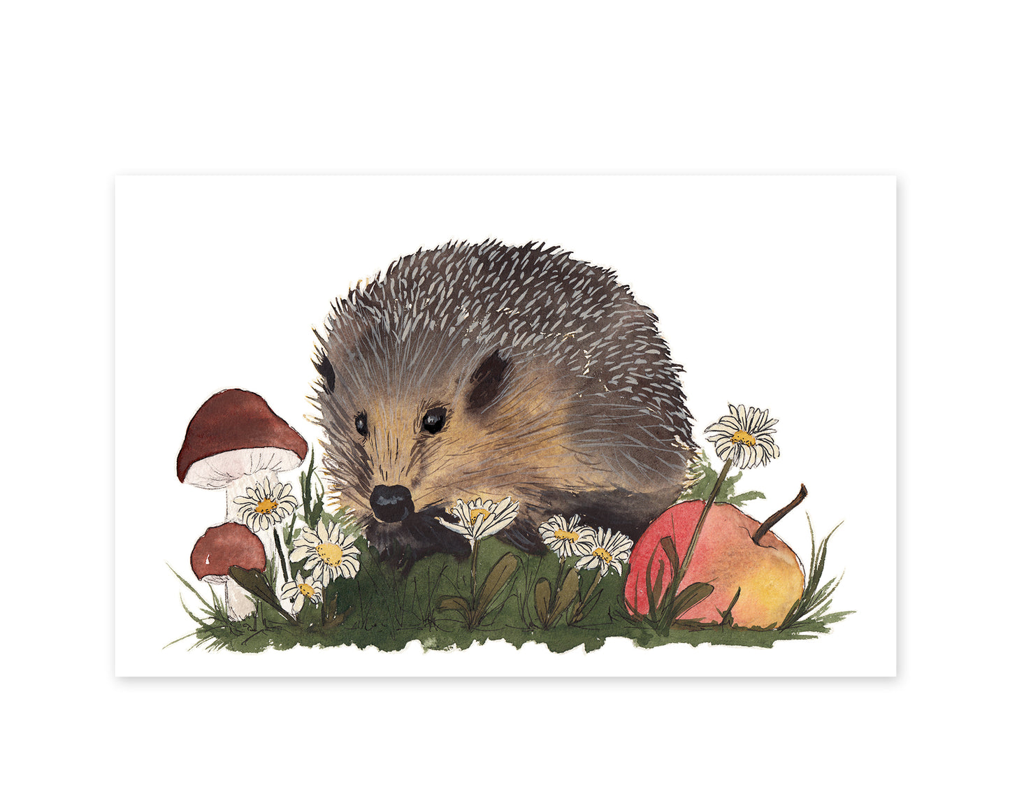 Kunstdruck Igel