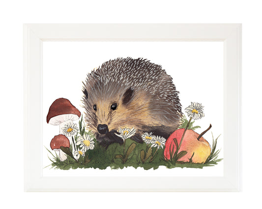 Kunstdruck Igel